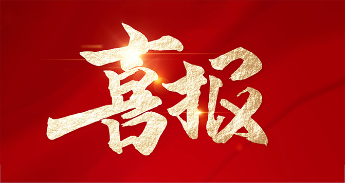 贝洛荣获&ldquo;2024年度东莞市导入卓越绩效管理优秀单位&rdquo; 称号